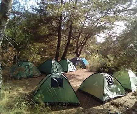 Campsite Reflections Camp