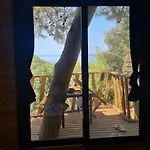 Reflections Camp אתר קמפינג