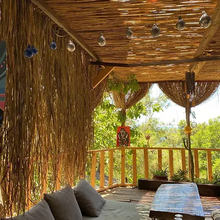 キャンプ場 Reflections Camp *