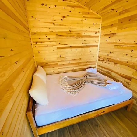 キャンプ場 Reflections Camp *