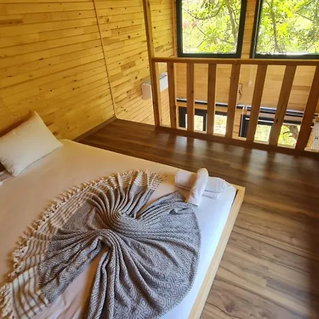 キャンプ場 Reflections Camp *