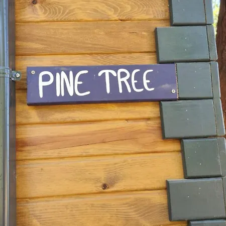 キャンプ場 Reflections Camp