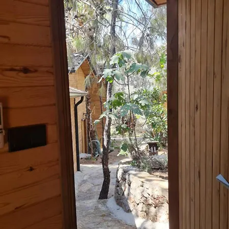 Reflections Camp ファラリア