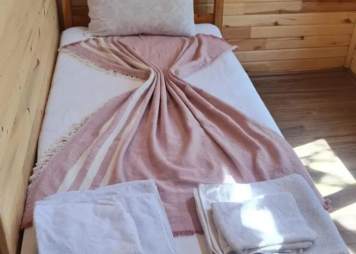 Kemp Reflections Camp