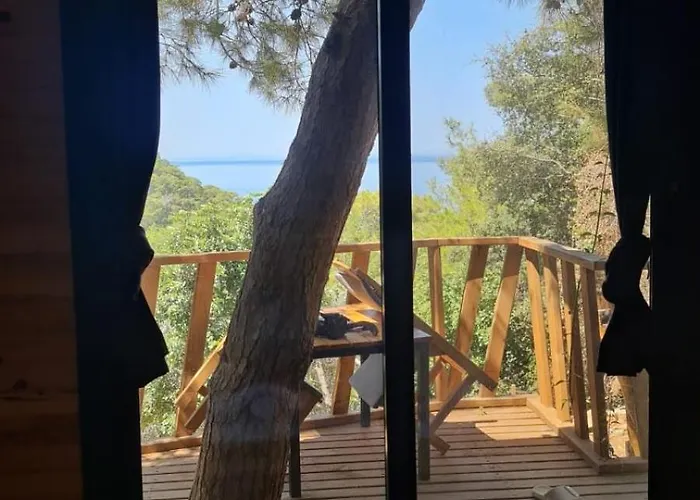 Reflections Camp Kemp