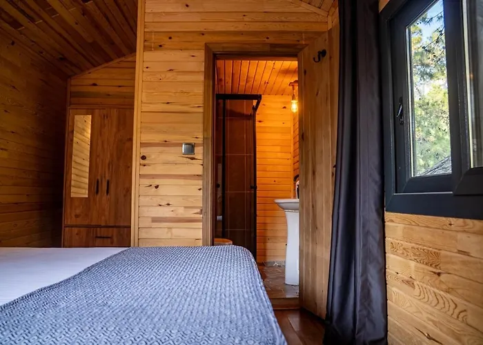 Reflections Camp Kemp *