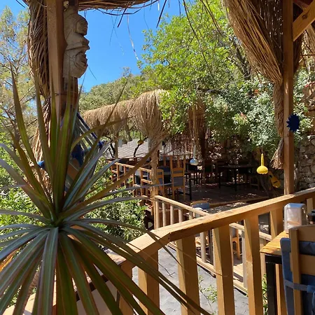 Reflections Camp Camping *