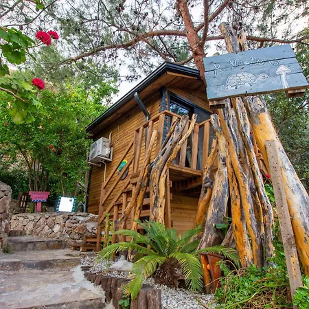 אתר קמפינג Reflections Camp