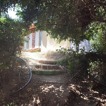 Reflections Camp אתר קמפינג