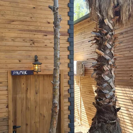 Reflections Camp Faralya