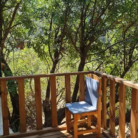 Reflections Camp אתר קמפינג