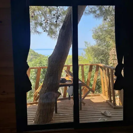 Reflections Camp אתר קמפינג