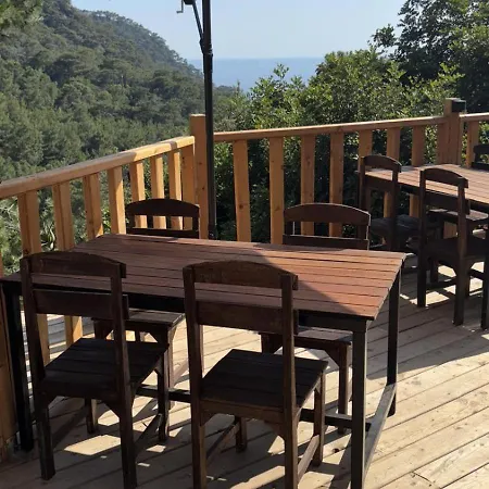 Reflections Camp Camping *