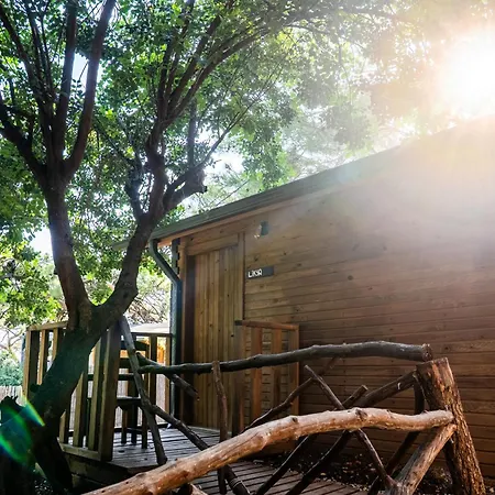 אתר קמפינג Reflections Camp *
