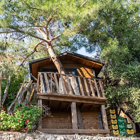 Reflections Camp אתר קמפינג פאראליה