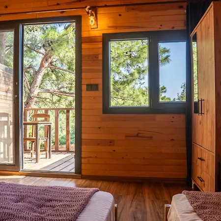 Reflections Camp Camping