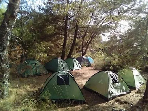 Camping Reflections Camp