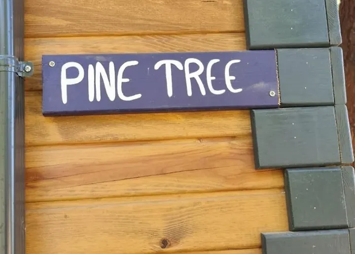 Kemping Reflections Camp