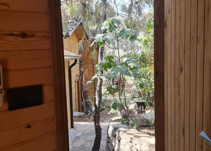 Reflections Camp Faralya