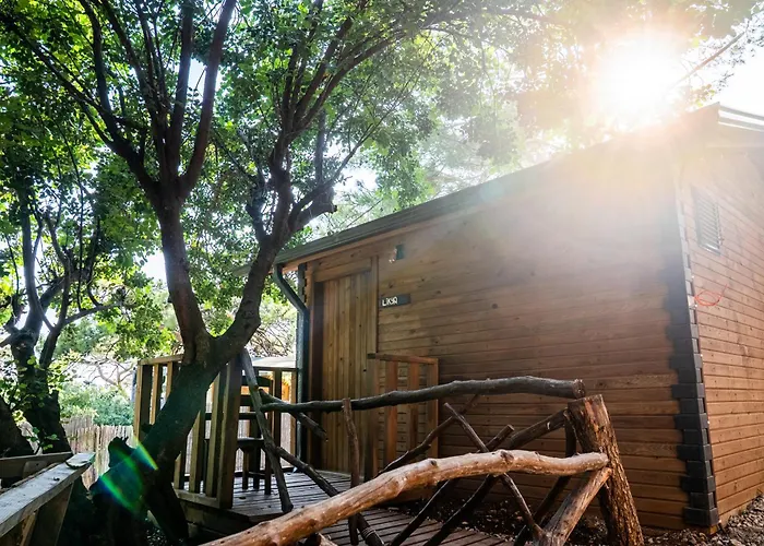 אתר קמפינג Reflections Camp *