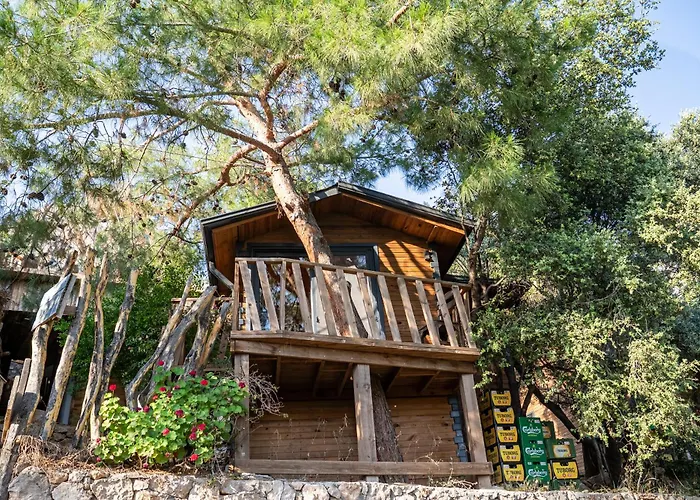 Reflections Camp אתר קמפינג פאראליה